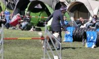 Agi_haag_30-04-2017624
