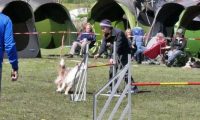 Agi_haag_30-04-2017625