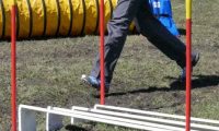 Agi_haag_30-04-2017635