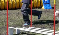 Agi_haag_30-04-2017636