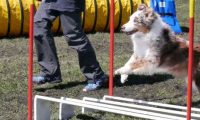 Agi_haag_30-04-2017637