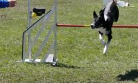 Agi_haag_30-04-2017639