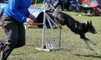 Agi_haag_30-04-2017640