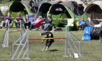Agi_haag_30-04-2017645