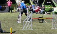 Agi_haag_30-04-2017648
