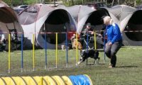 Agi_haag_30-04-2017650