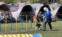 Agi_haag_30-04-2017651