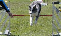 Agi_haag_30-04-2017664