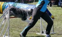Agi_haag_30-04-2017666