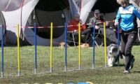 Agi_haag_30-04-2017668