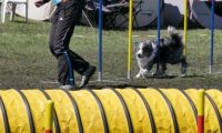 Agi_haag_30-04-2017671