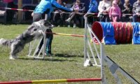 Agi_haag_30-04-2017674