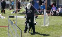 Agi_haag_30-04-2017679