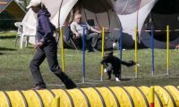 Agi_haag_30-04-2017686