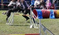 Agi_haag_30-04-2017688