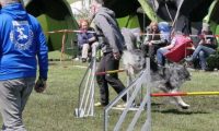 Agi_haag_30-04-2017696