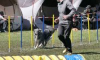 Agi_haag_30-04-2017700