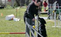 Agi_haag_30-04-2017701