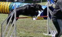 Agi_haag_30-04-2017706
