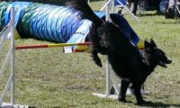 Agi_haag_30-04-2017708