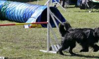 Agi_haag_30-04-2017709