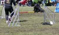 Agi_haag_30-04-2017713