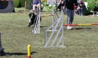 Agi_haag_30-04-2017717