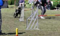 Agi_haag_30-04-2017718