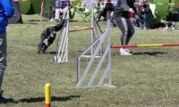 Agi_haag_30-04-2017719