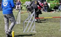 Agi_haag_30-04-2017722