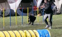 Agi_haag_30-04-2017725