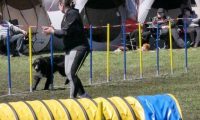 Agi_haag_30-04-2017727