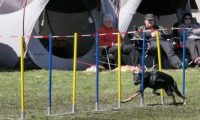 Agi_haag_30-04-2017735