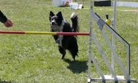 Agi_haag_30-04-2017754