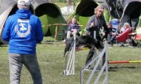 Agi_haag_30-04-2017761