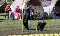 Agi_haag_30-04-2017767