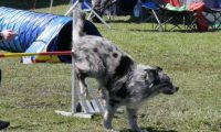 Agi_haag_30-04-2017781