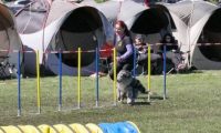 Agi_haag_30-04-2017785