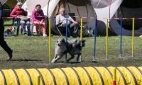 Agi_haag_30-04-2017787