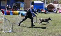 Agi_haag_30-04-2017805