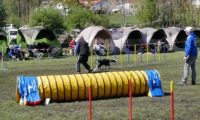 Agi_haag_30-04-2017807