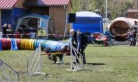 Agi_haag_30-04-2017809