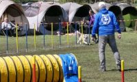 Agi_haag_30-04-2017823