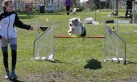 Agi_haag_30-04-2017829