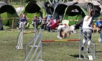 Agi_haag_30-04-2017834