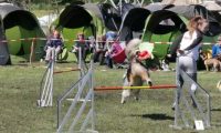 Agi_haag_30-04-2017835