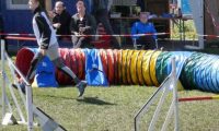 Agi_haag_30-04-2017844