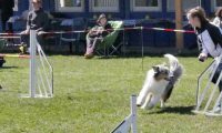 Agi_haag_30-04-2017845
