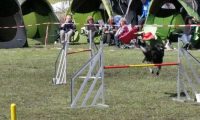 Agi_haag_30-04-2017849