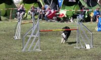 Agi_haag_30-04-2017850